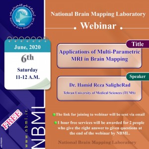 Applications of Multi-Parametric MRI in Brain Mapping